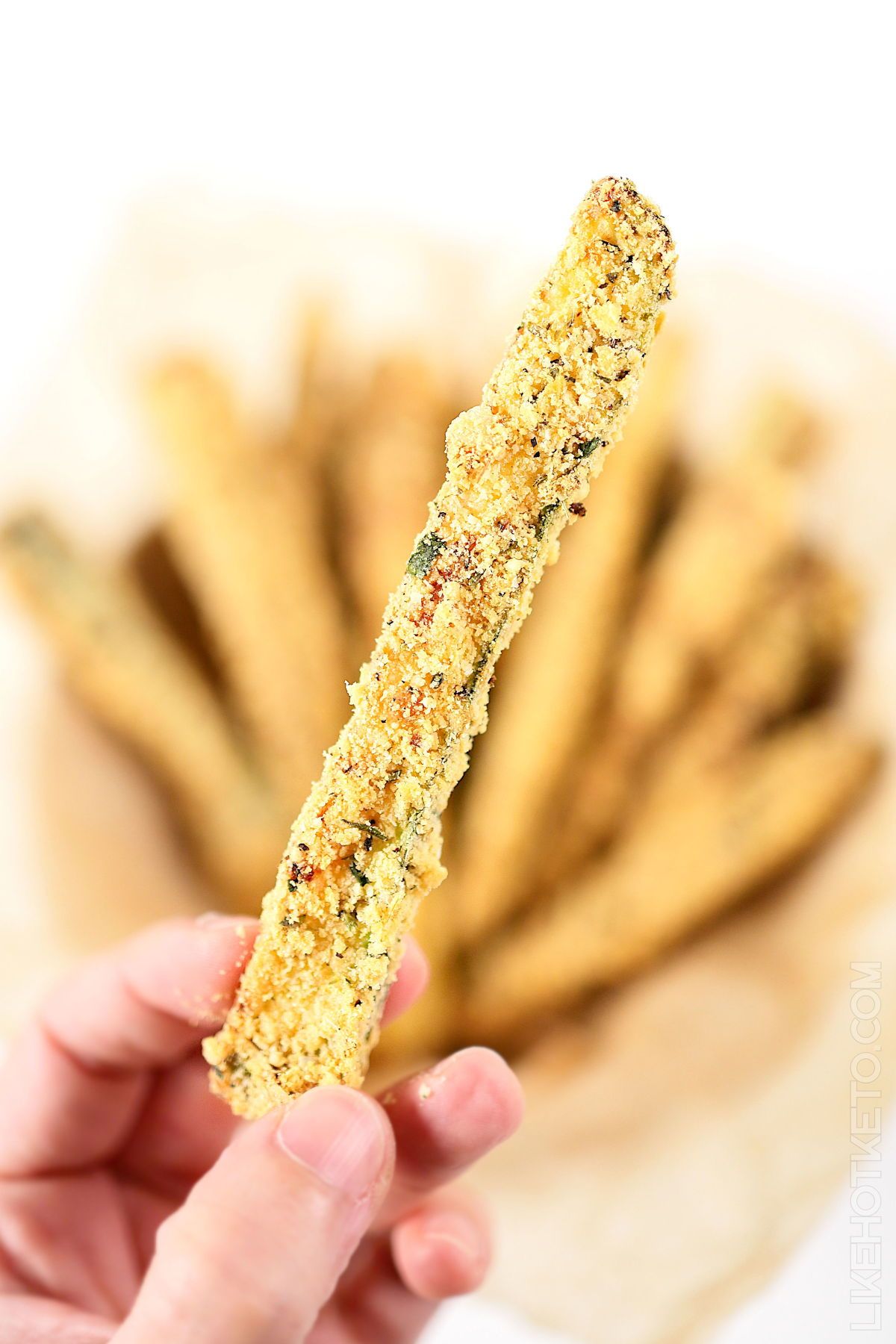 Crispy Zucchini Fries