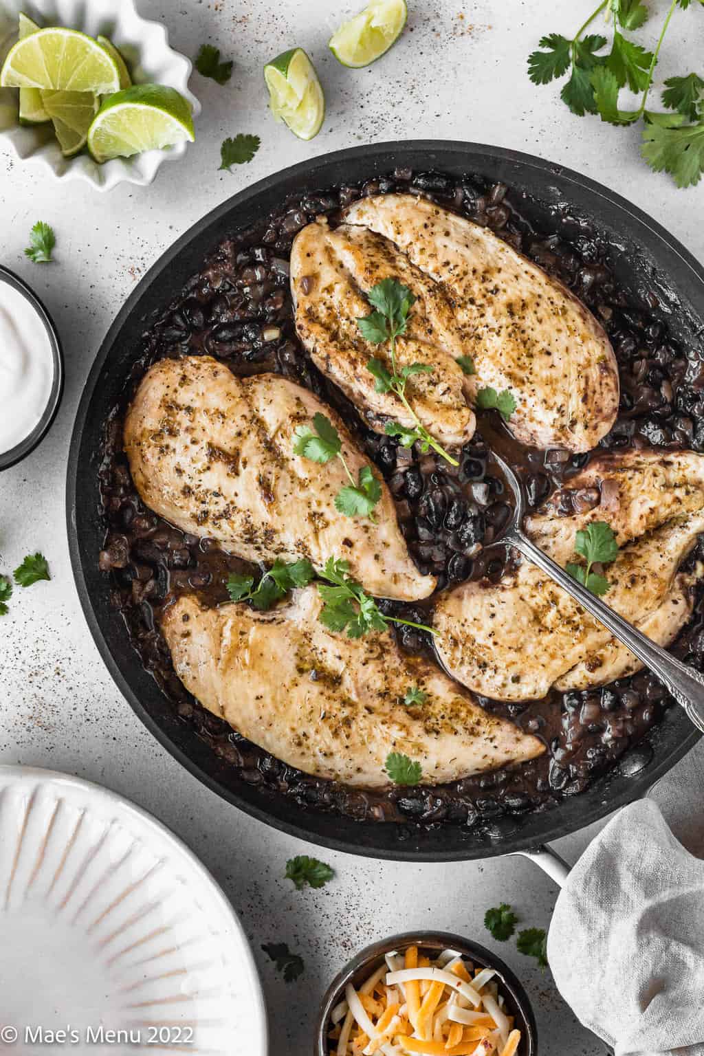 Southwest chicken with black bean sauce