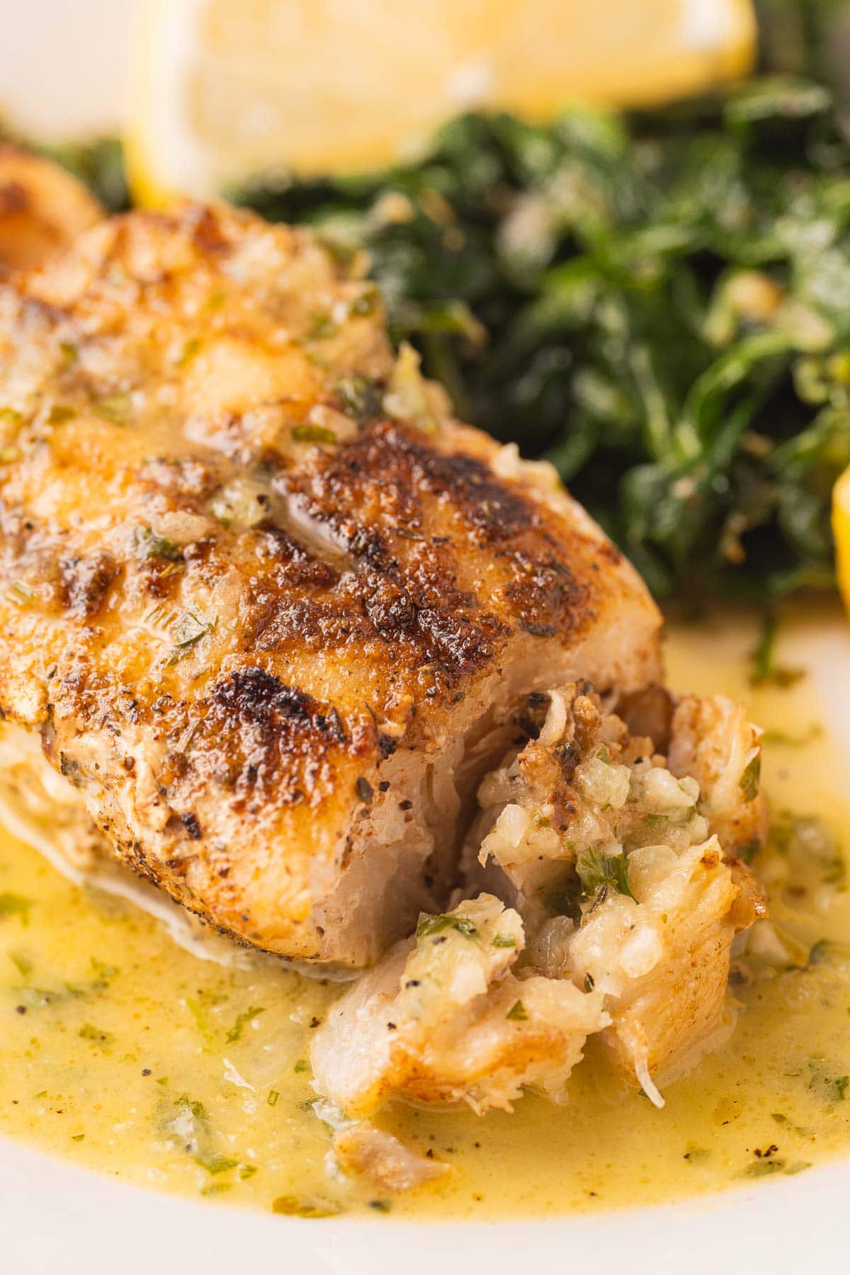 Blackened Grouper with Lemon Herb Sauce