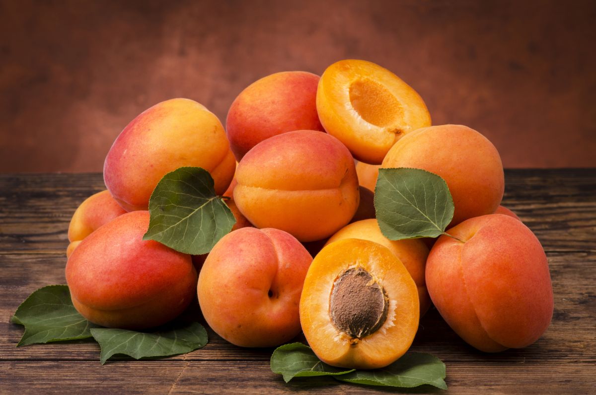 apricots