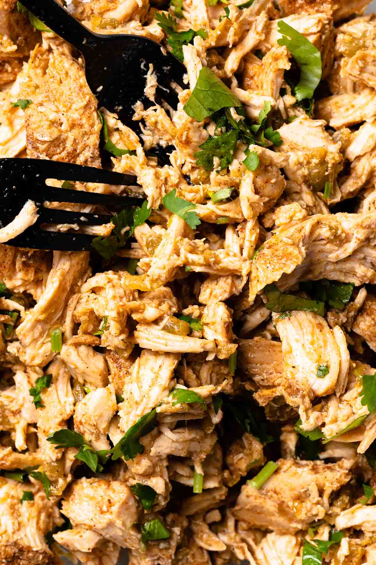 Slow Cooker Shredded Chile Chicken