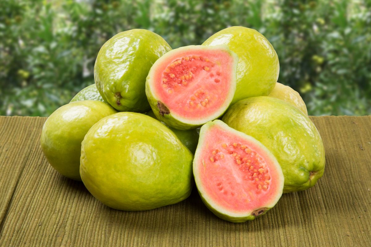 guavas