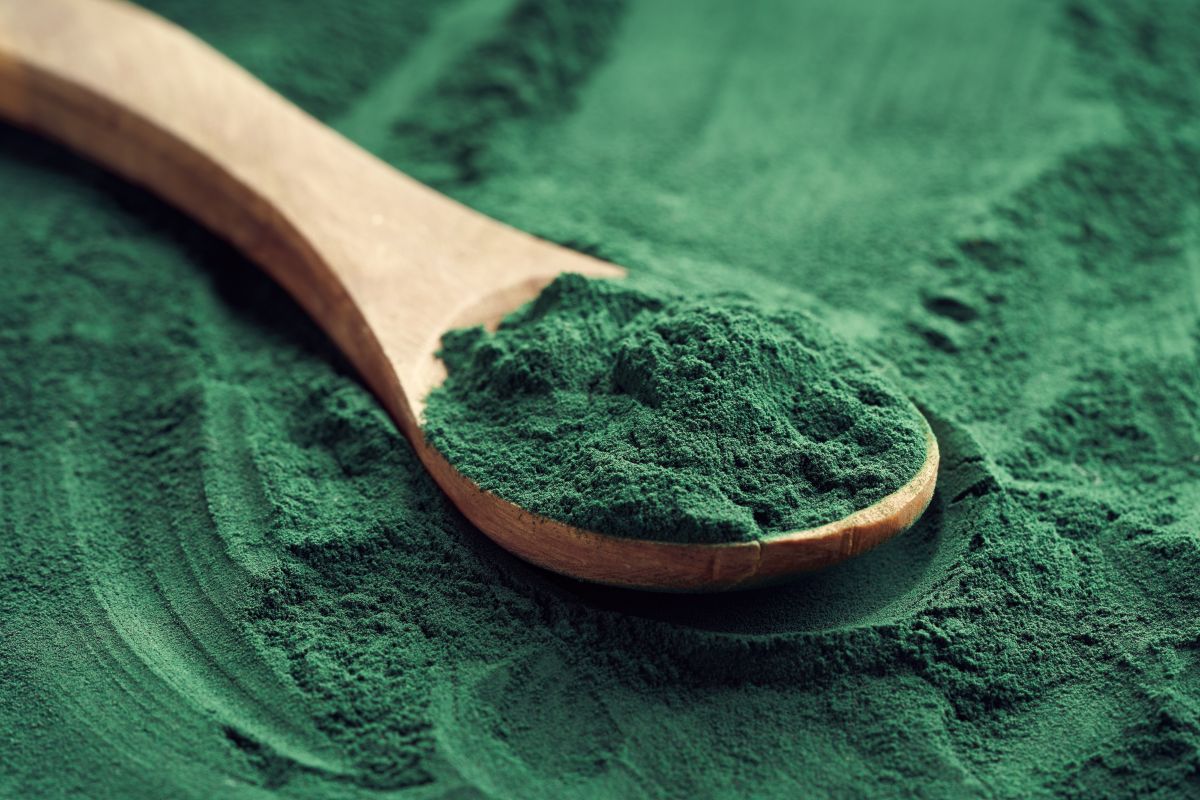 spirulina