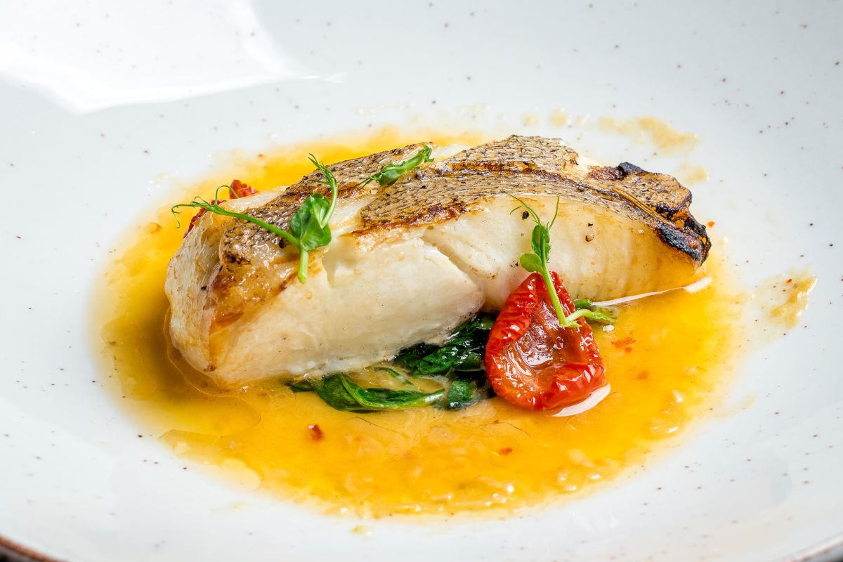 halibut