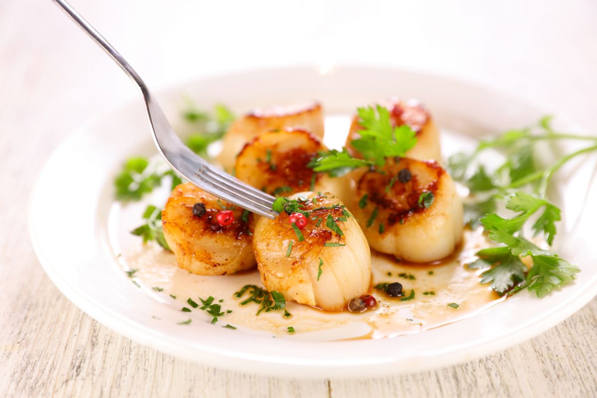 scallops