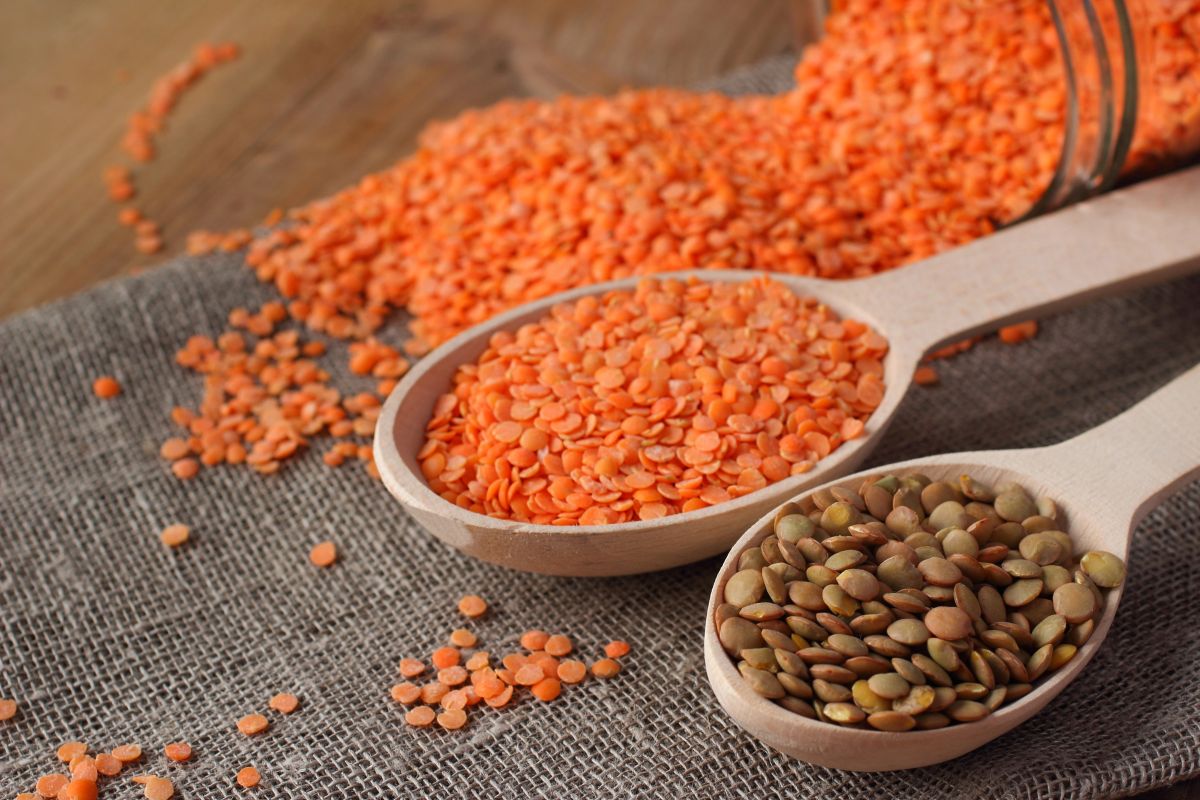 lentils