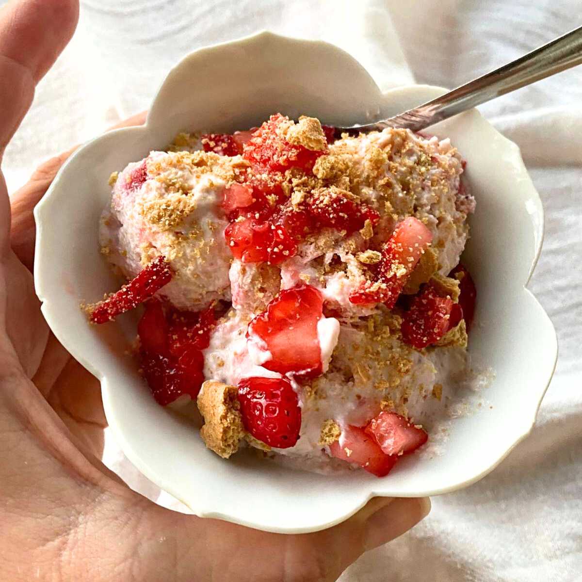 Strawberry Cottage Cheese Ice Cream