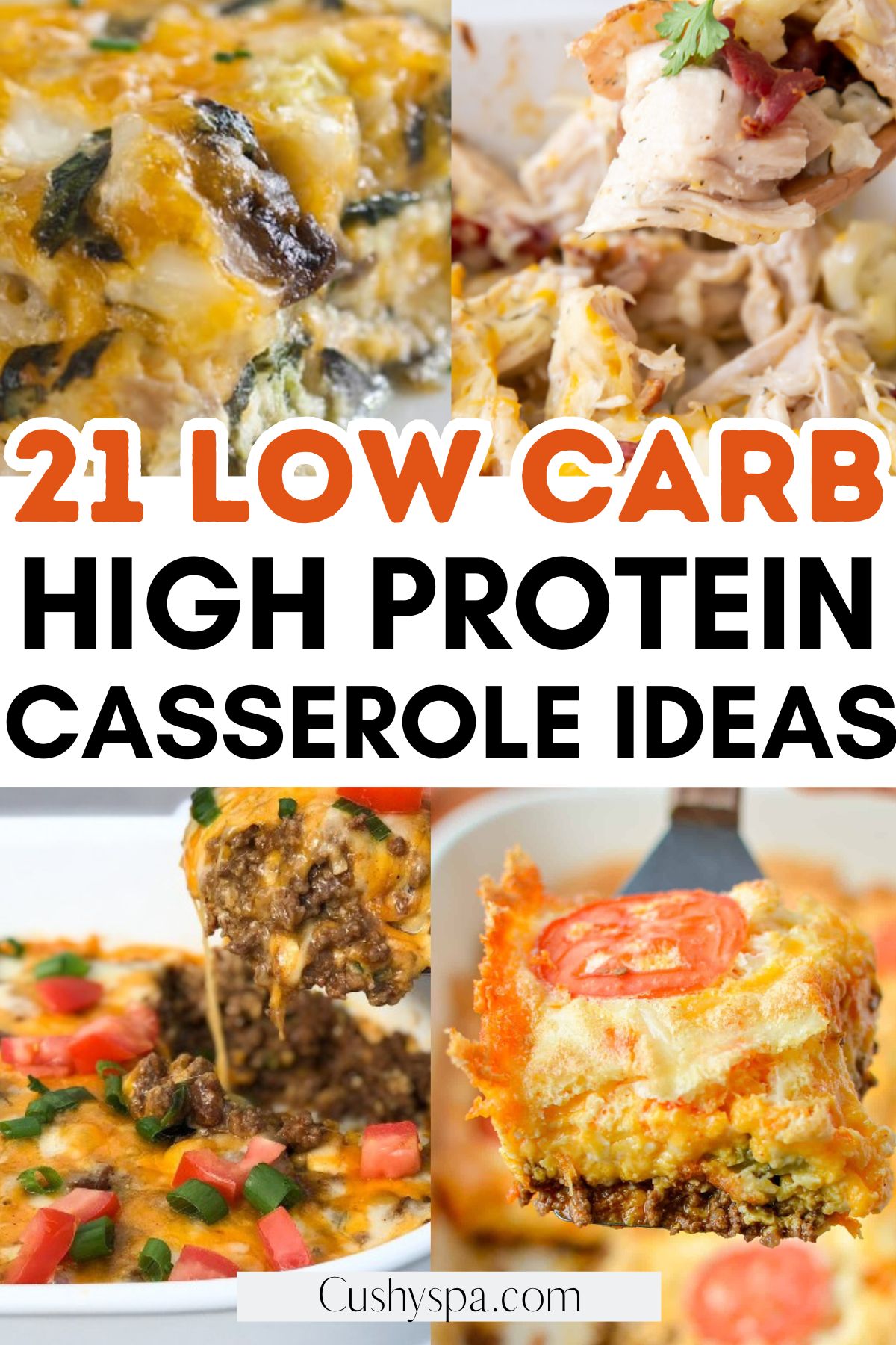 Low Carb High Protein Casseroles