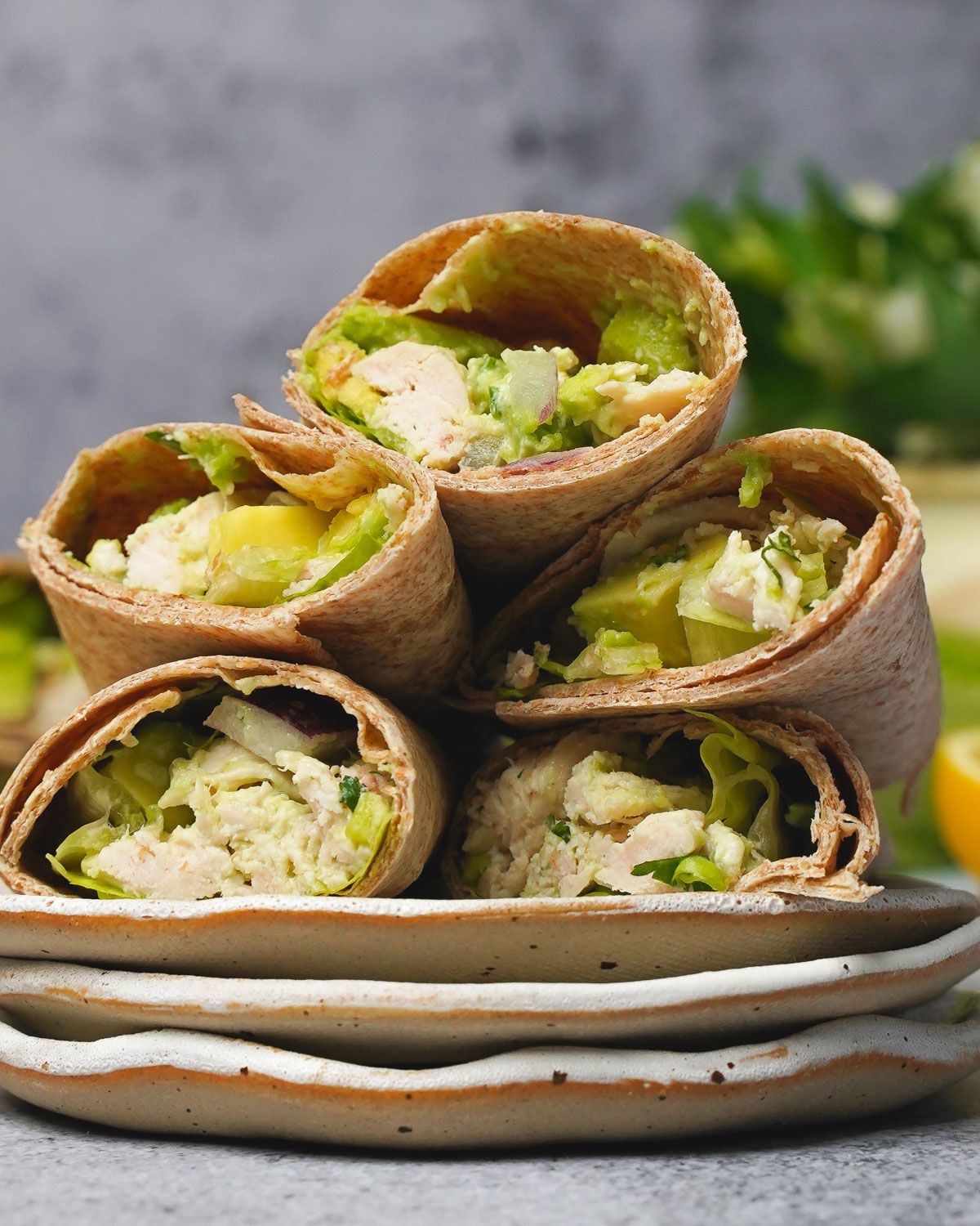 chicken avocado wrap