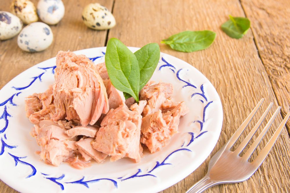 canned tuna