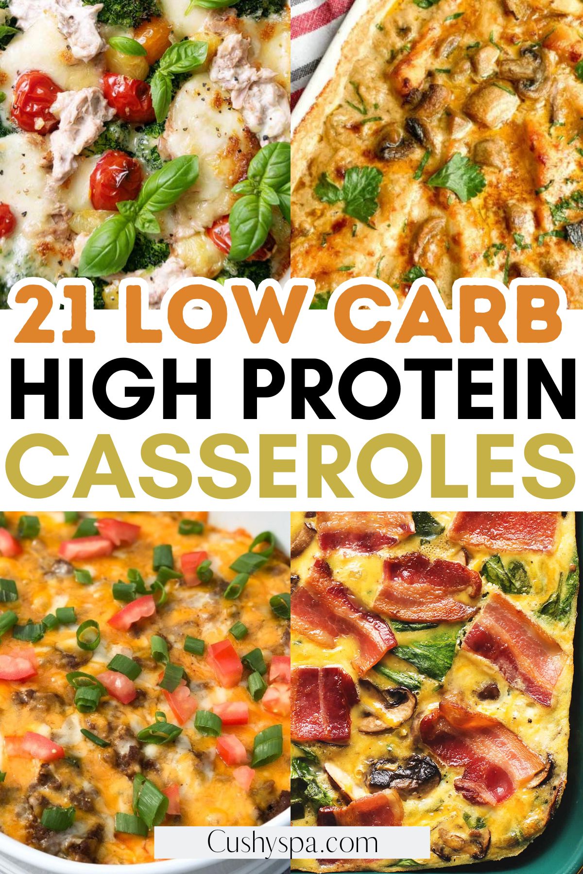 Low Carb High Protein Casseroles