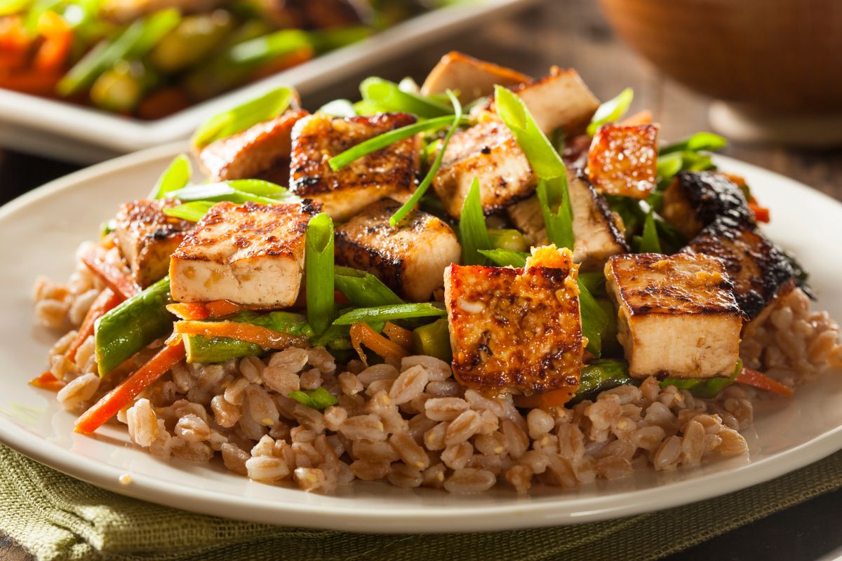 plant based protein