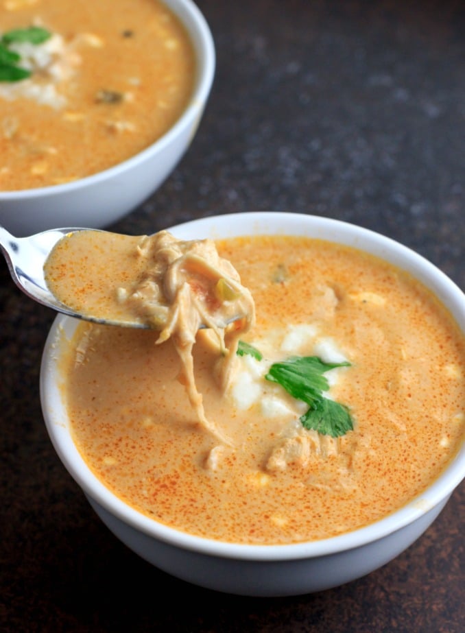16. Instant Pot Chicken Salsa Queso Soup