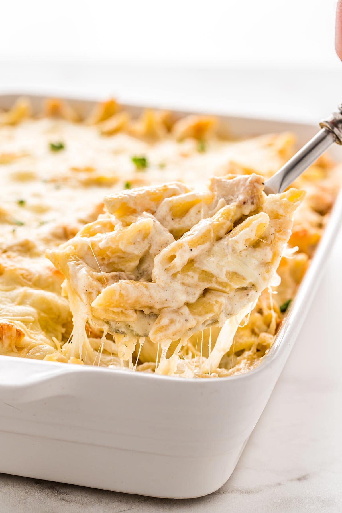 24. Chicken Alfredo Bake