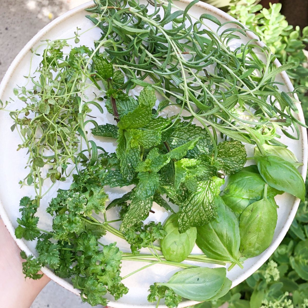 14. Use Fresh Herbs Instead of Seasoning Mixes