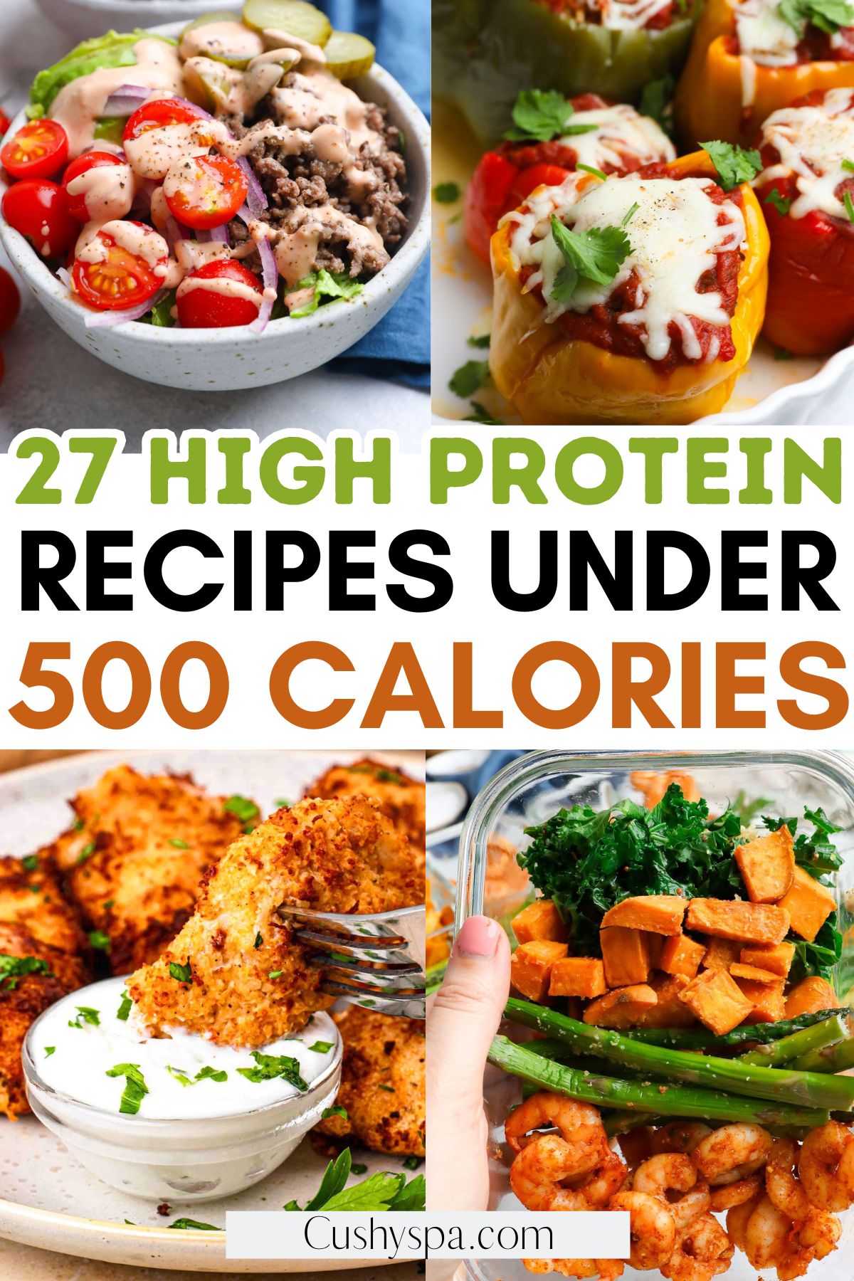 high protein recipes under 500 calories