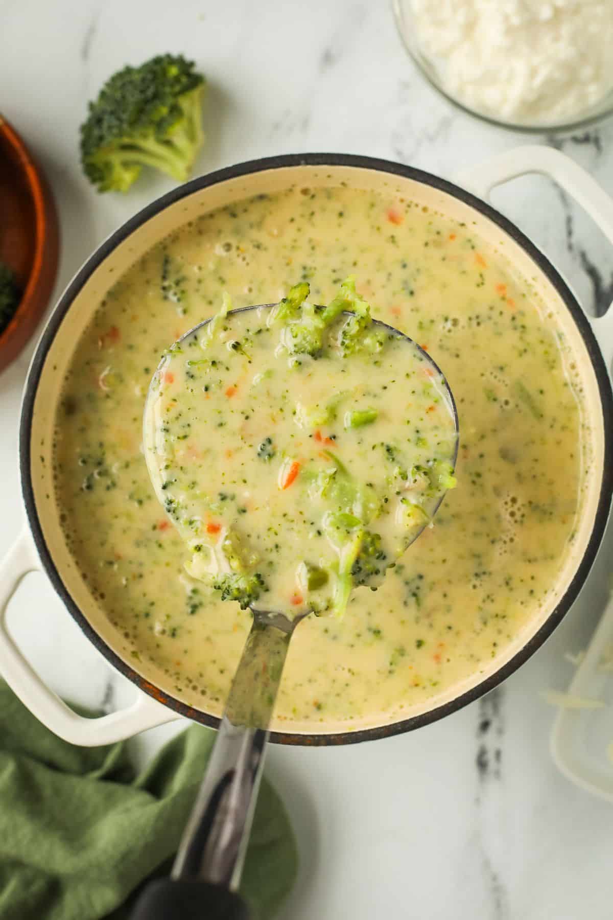 Broccoli Cheddar Soup