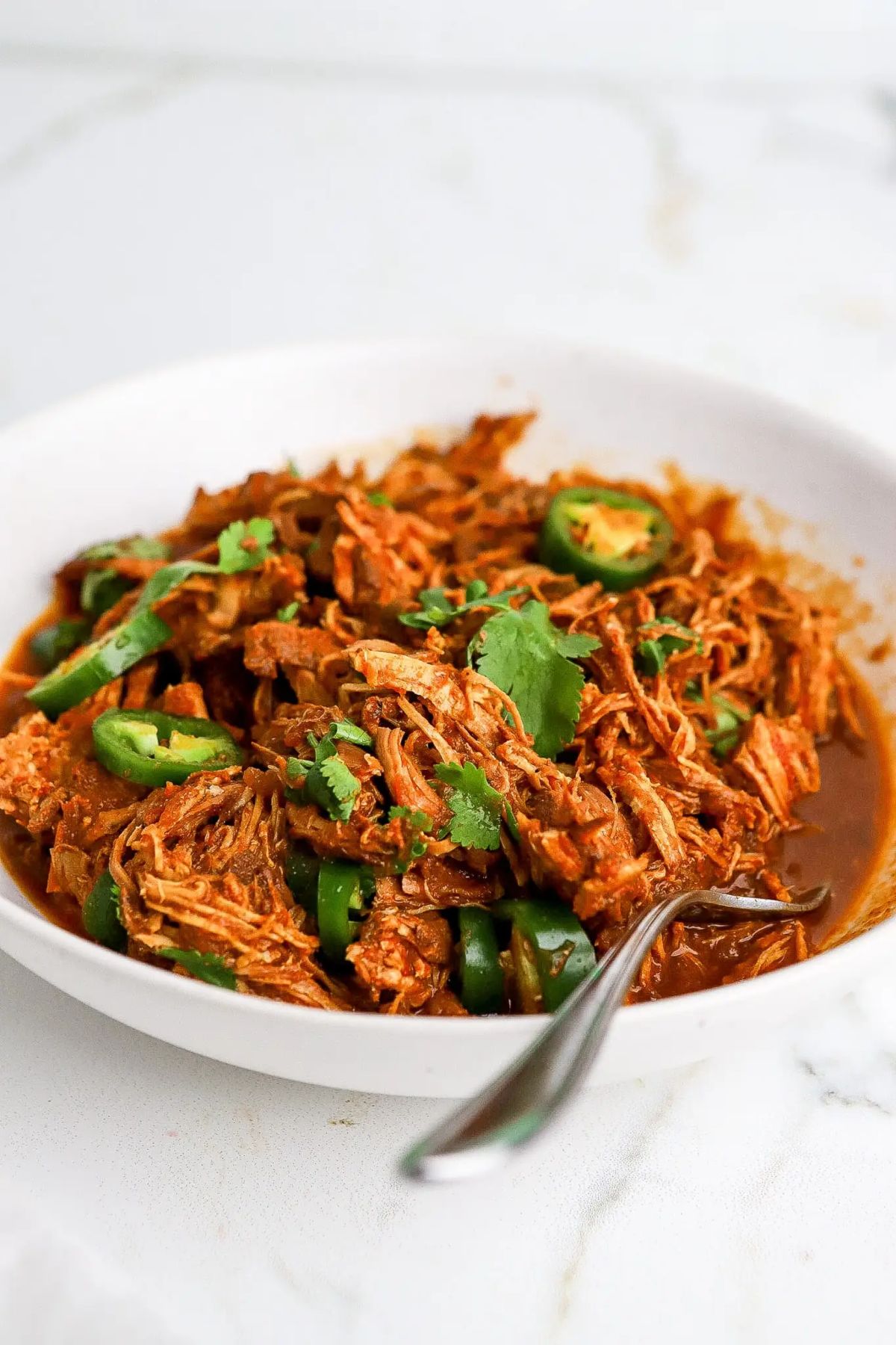 Slow Cooker Salsa Chicken