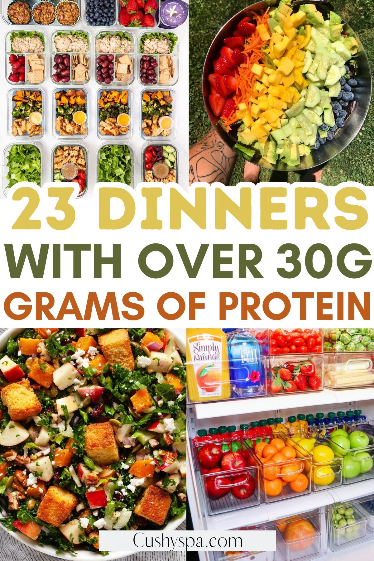 dinner ideas with over 30g of protein