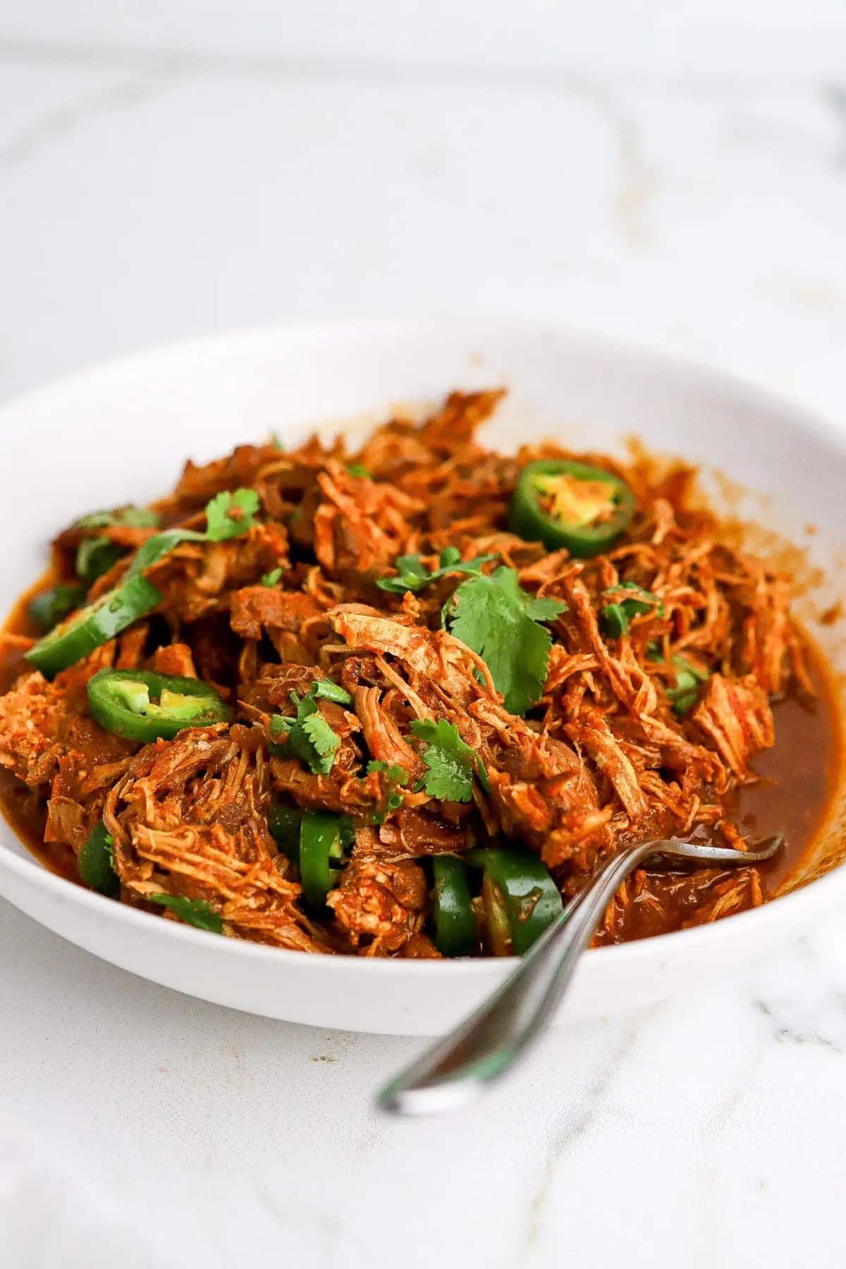Slow Cooker Salsa Chicken