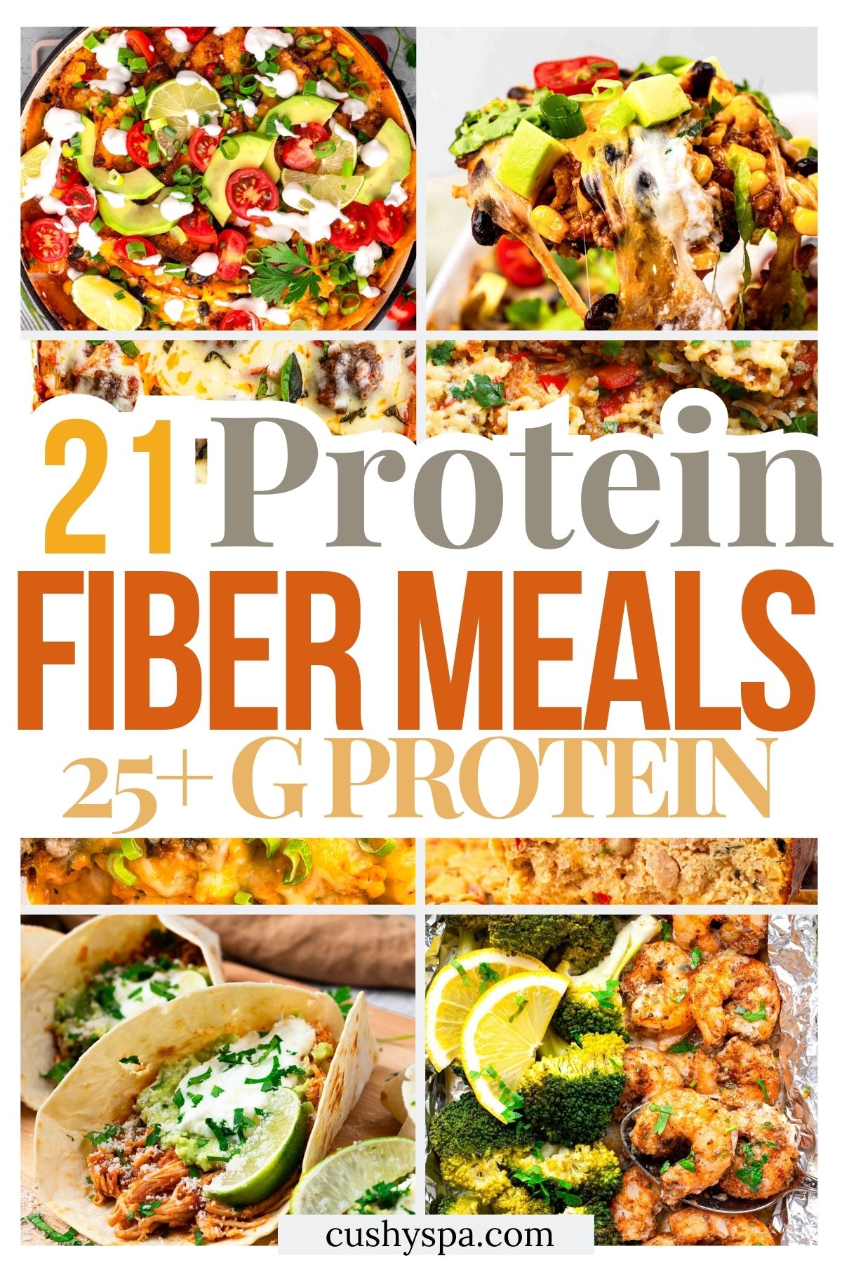 21 high protein high fiber meals 25g protein
