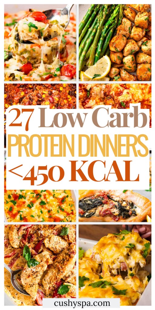 27 High Protein Low Carb Dinners Under 450 Kcal