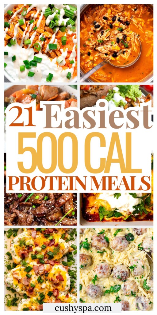 21 High Protein 500 Calorie Meals
