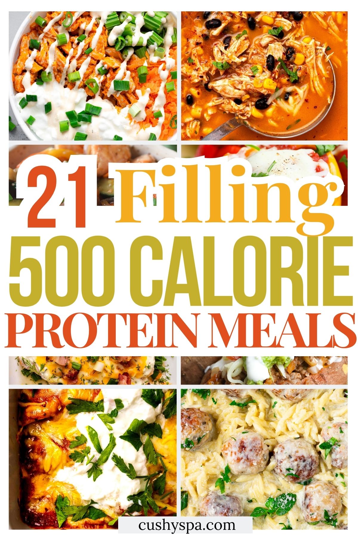 21 High Protein 500 Calorie Meals