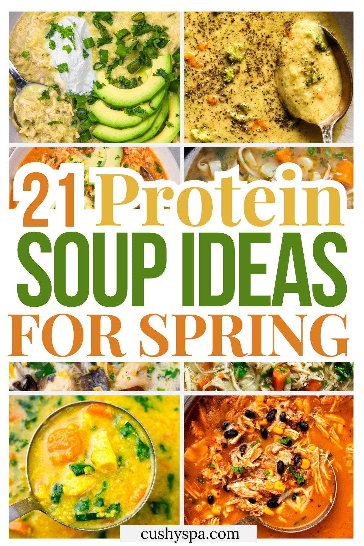21 High Protein Spring Soup Ideas