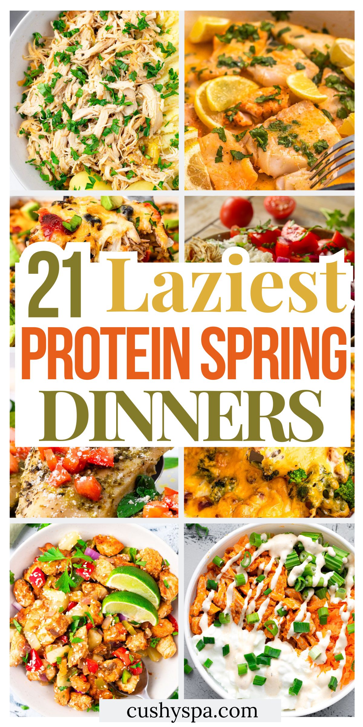 Spring Proteine 21 Lazy High Protein Spring Dinners - Cushy Spa