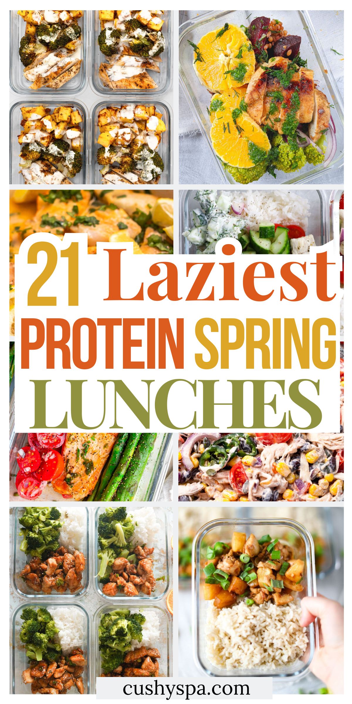 Spring Proteine 21 Spring High Protein Lunch Ideas for Lazy People - Cushy Spa