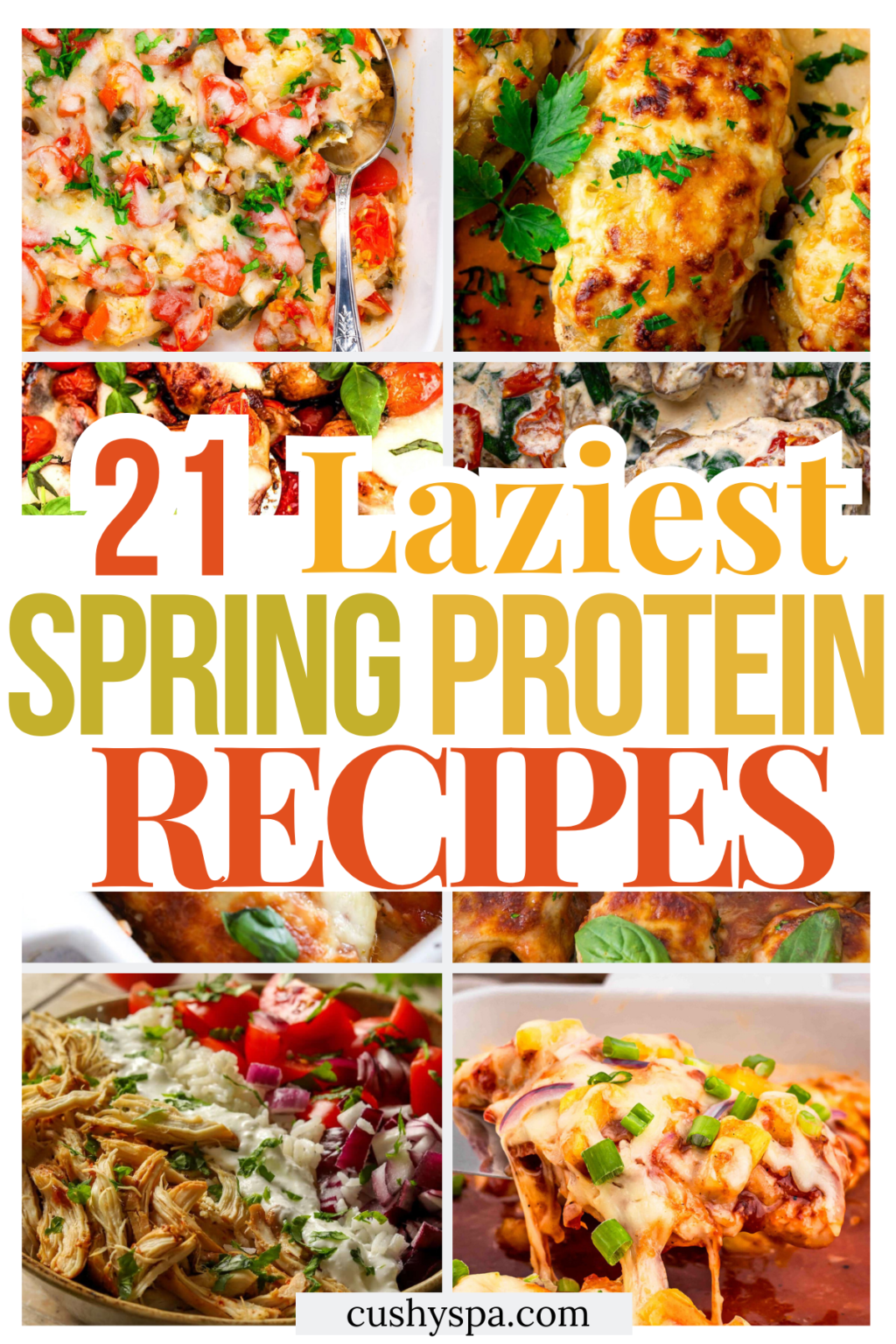 Spring Proteine 21 Super Lazy Spring High Protein Meals - Cushy Spa