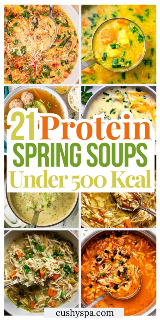 21 High Protein Spring Soups Under 500 Kcal