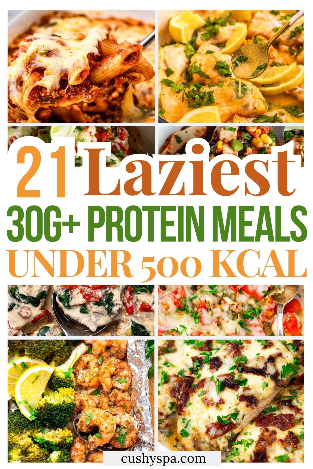 21 Lazy 30G+ Protein Meals Under 500 Kcal