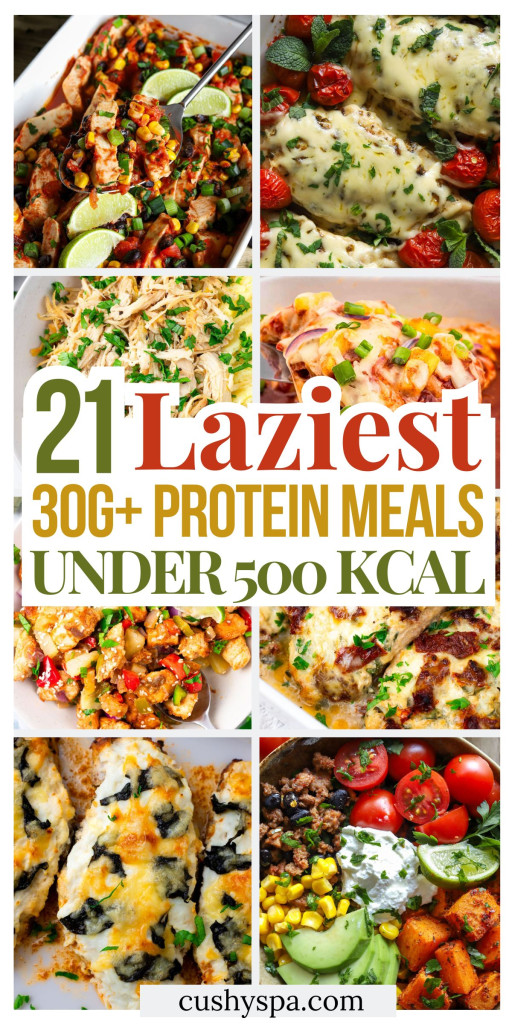 21 Lazy 30G+ Protein Meals Under 500 Kcal