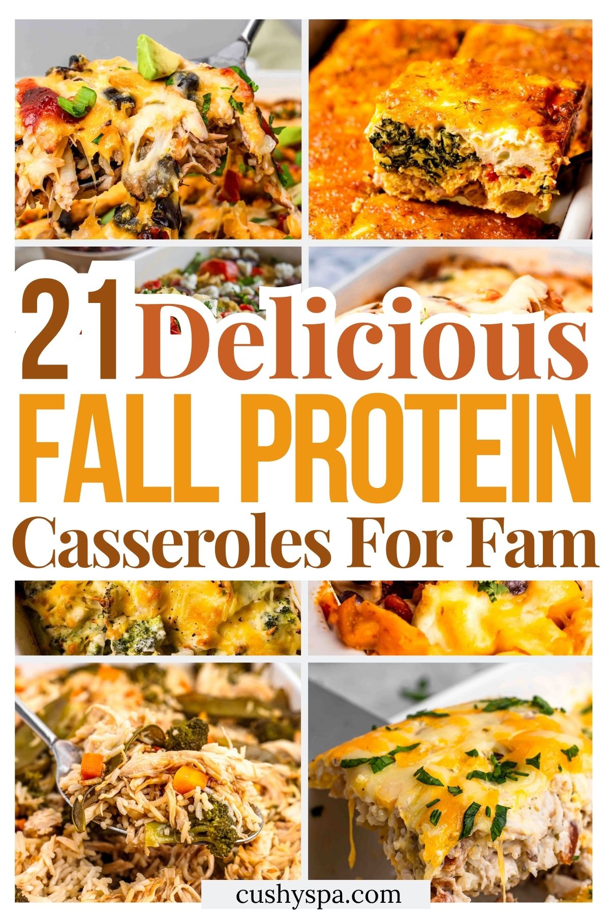21 Fall High Protein Casseroles