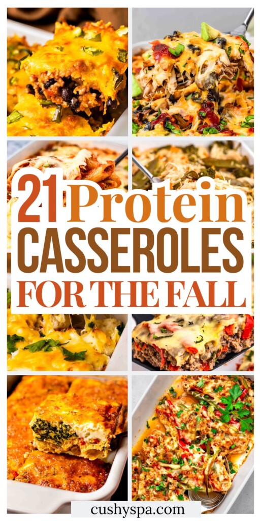 21 Fall High Protein Casseroles