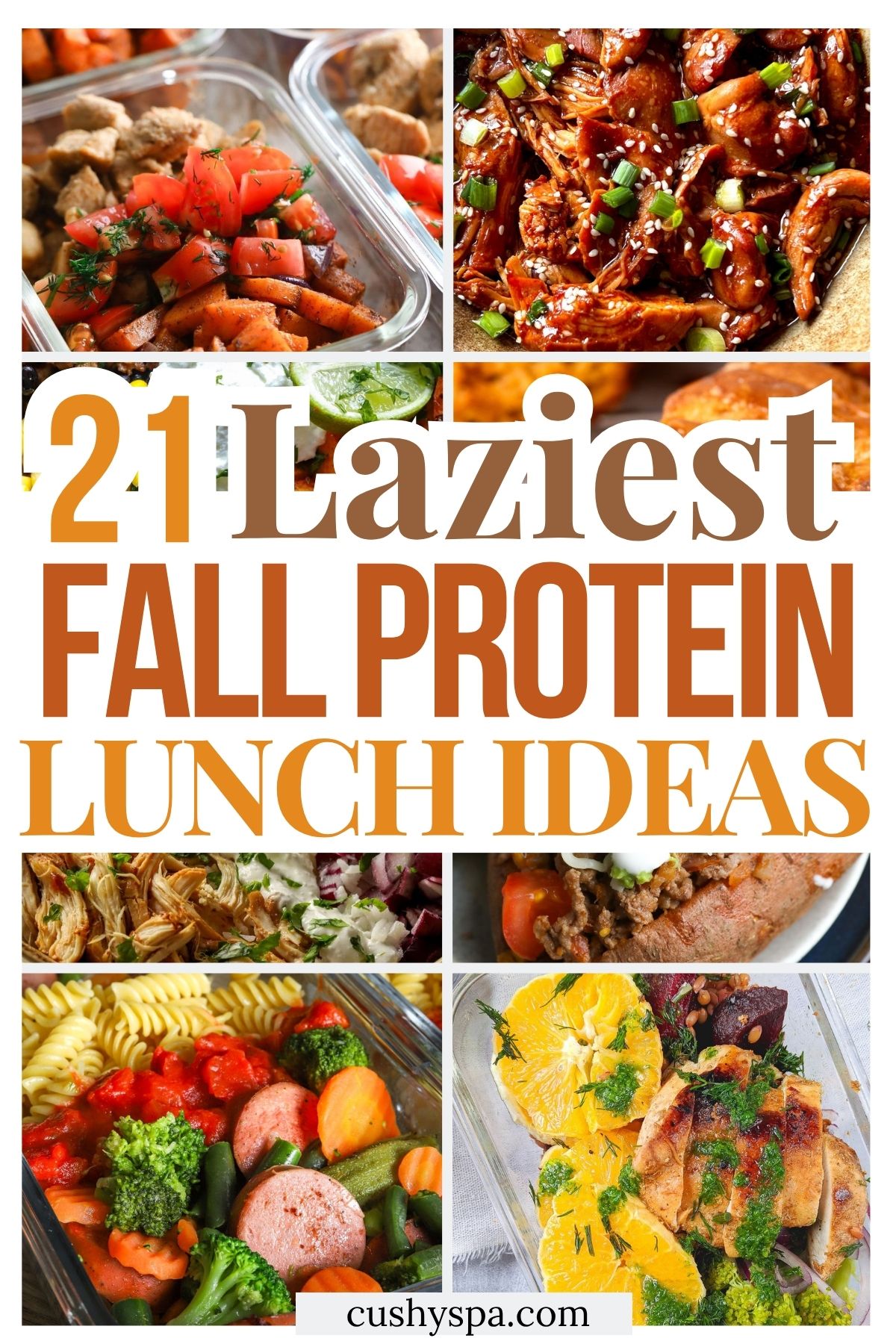 21 Fall High Protein Lunch Ideas for Lazy People