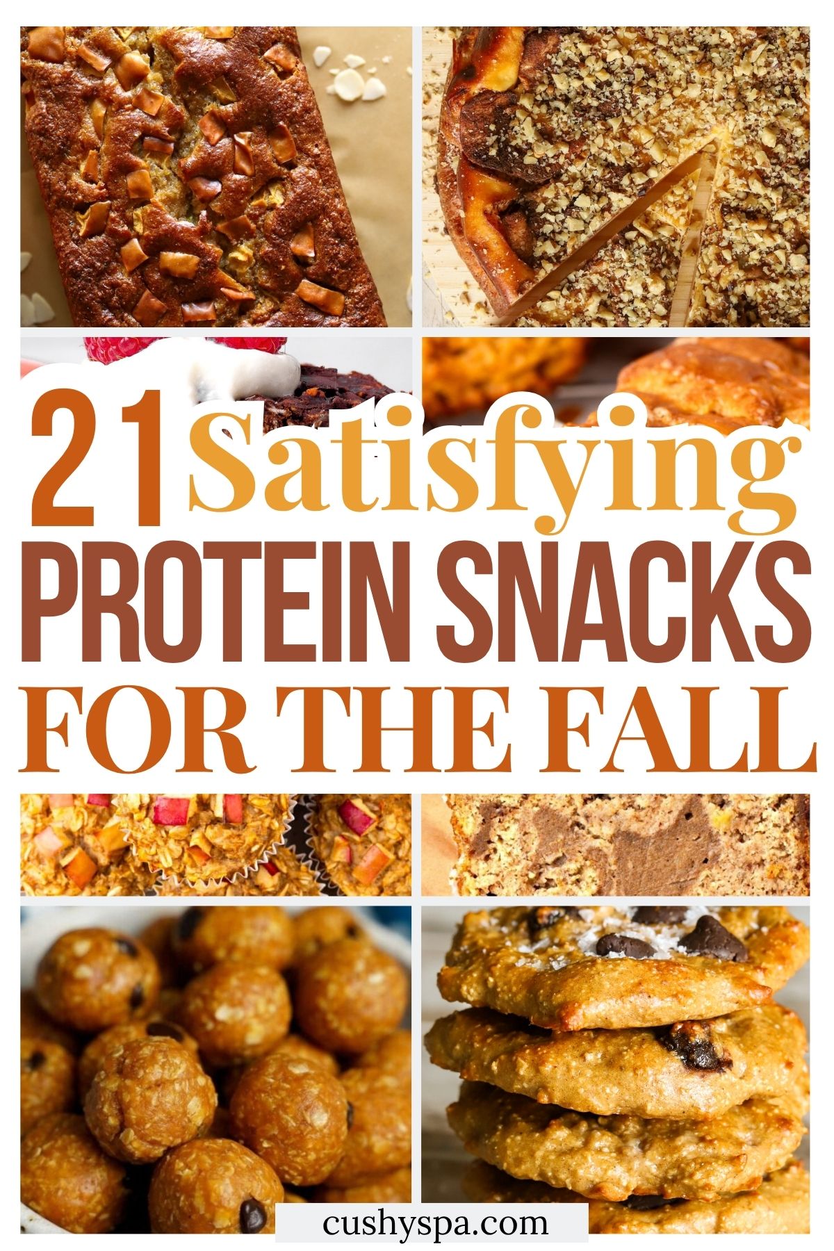 21 Fall High Protein Snacks