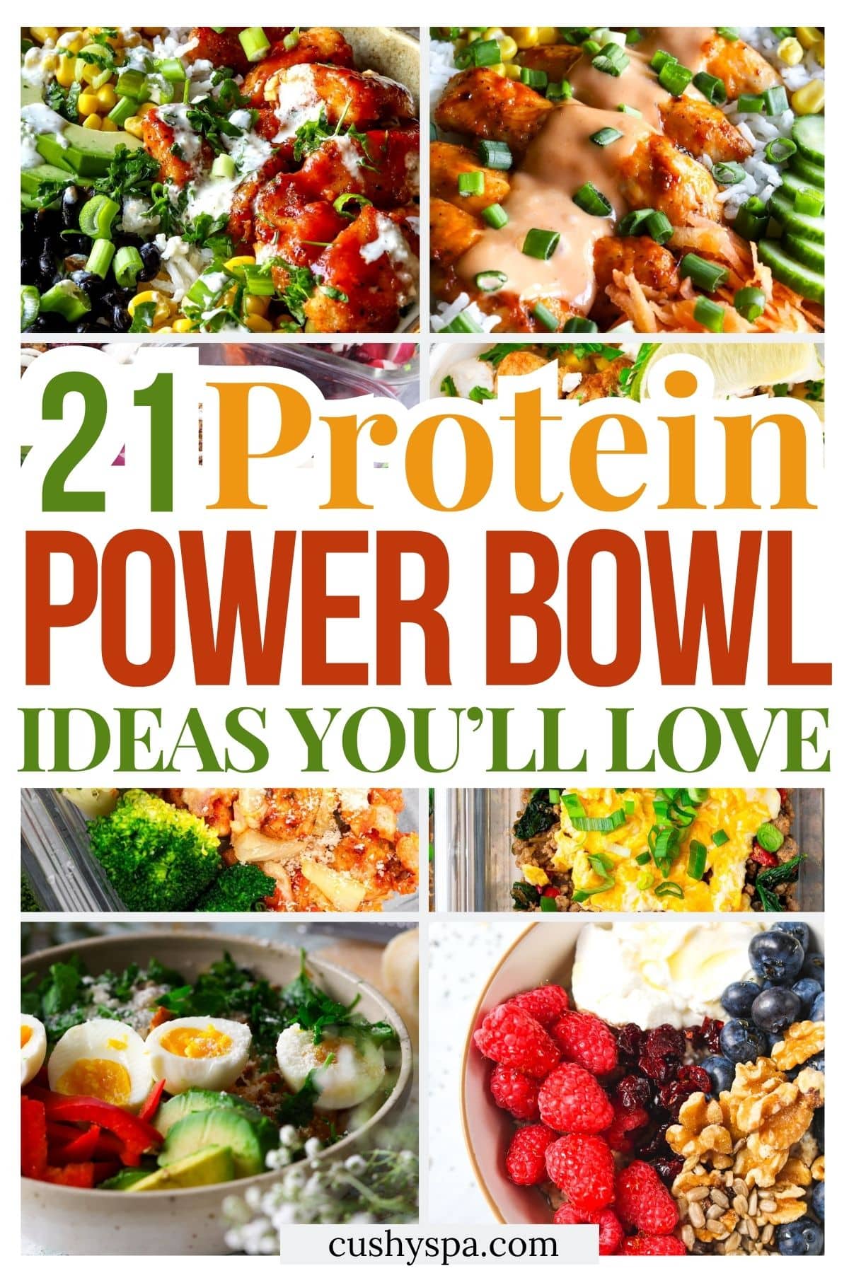 21 High Protein Power Bowl Ideas