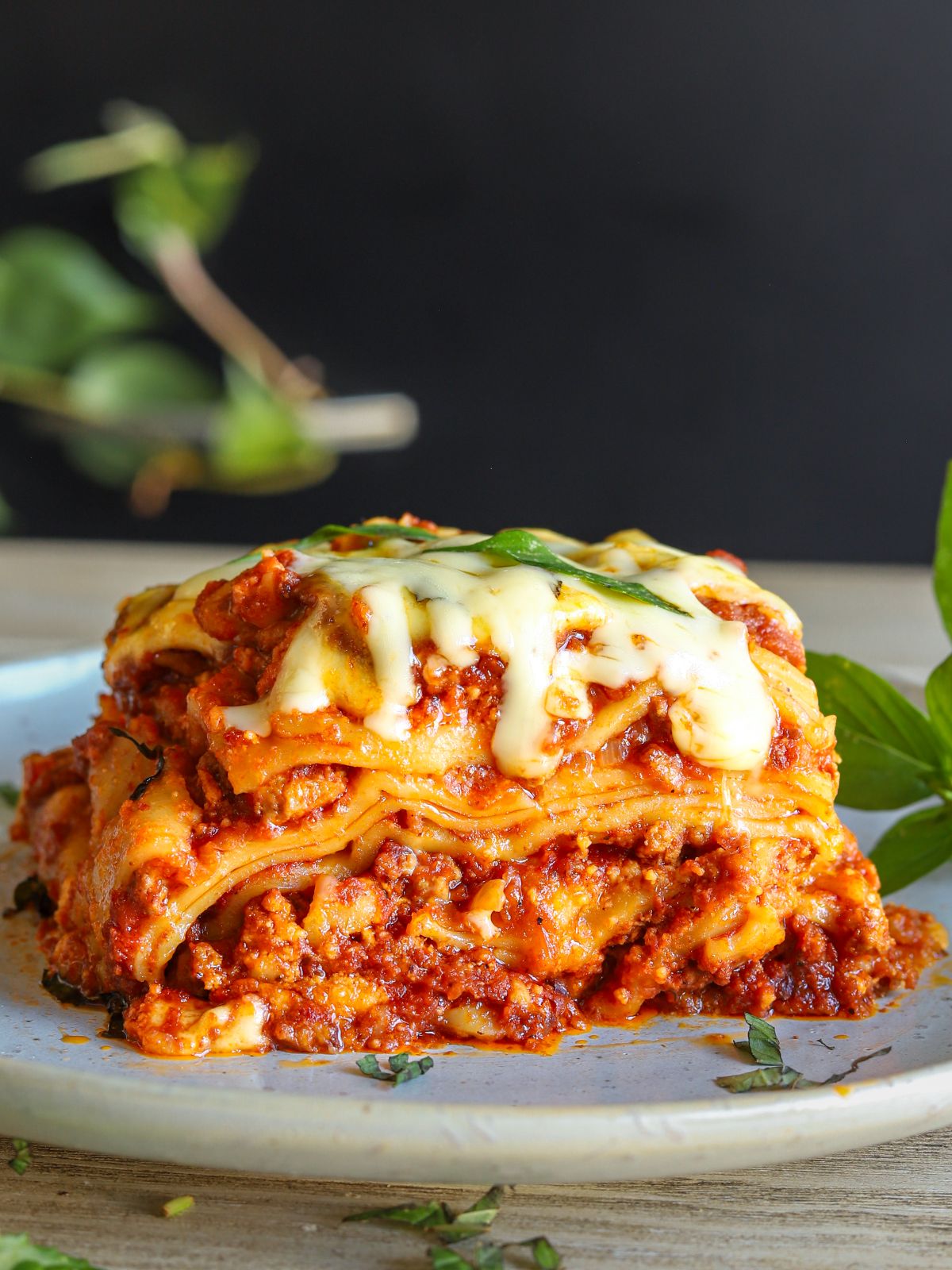 Tasty Crockpot Lasagna