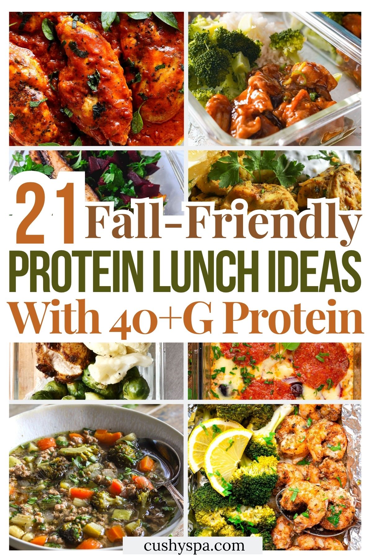 21 Fall-Friendly High Protein Lunch Ideas with 40+G Protein