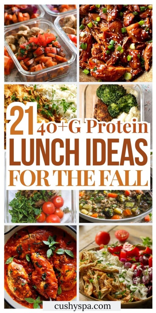 21 Fall-Friendly High Protein Lunch Ideas with 40+G Protein