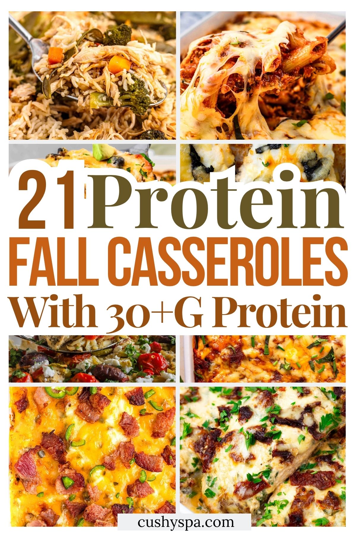 21 High Protein Fall Casseroles with 30+G Protein