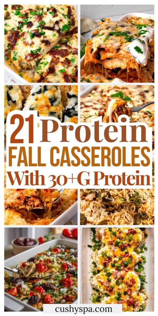 21 High Protein Fall Casseroles with 30+G Protein