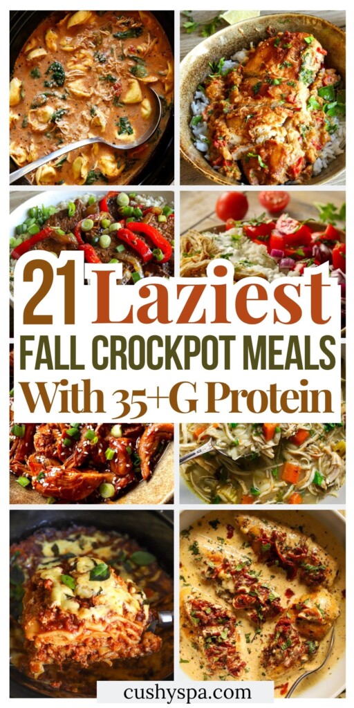 21 Lazy Fall High Protein Crockpot Meals 35+ G Protein