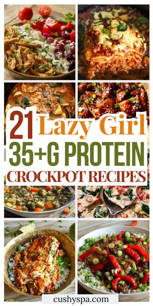 21 Lazy Girl High Protein Crockpot Recipes with 35+ G Protein