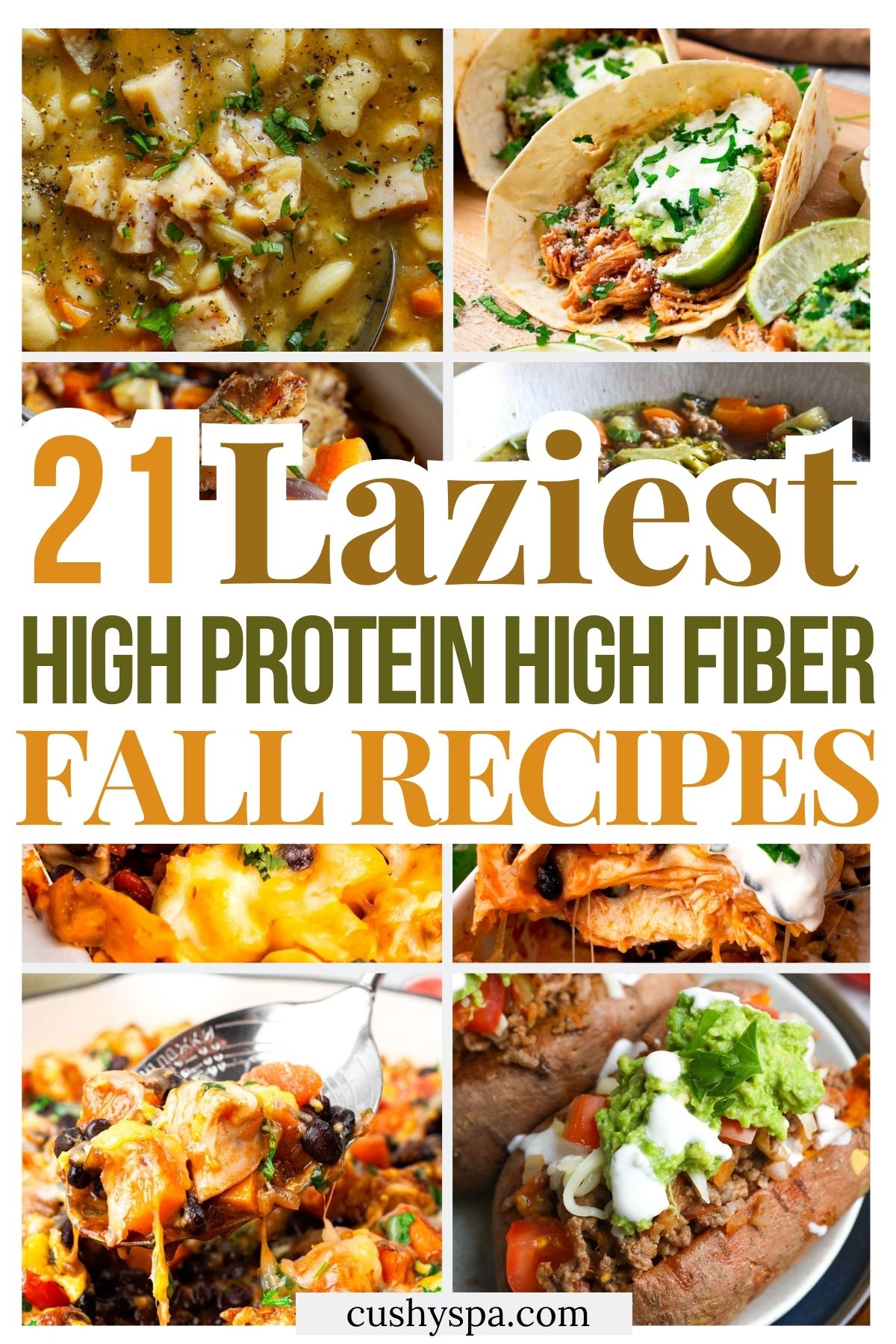 21 Lazy High Protein High Fiber Fall Recipes