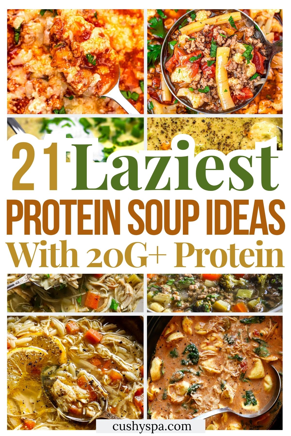 21 Lazy High Protein Soup Ideas with 20G+ Protein