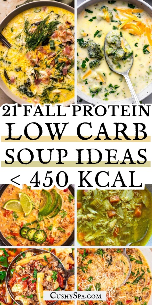 21 Fall High Protein Low Carb Soup Ideas Under 450 Kcal
